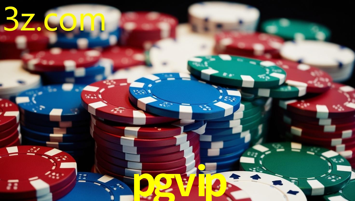 PGVIP.COM